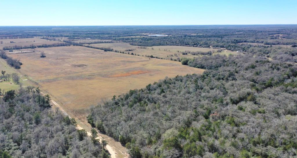 Photo of TBD Cr 328, Tract 2, 10 Acres, Caldwell, TX 77836 (MLS # 87328811)