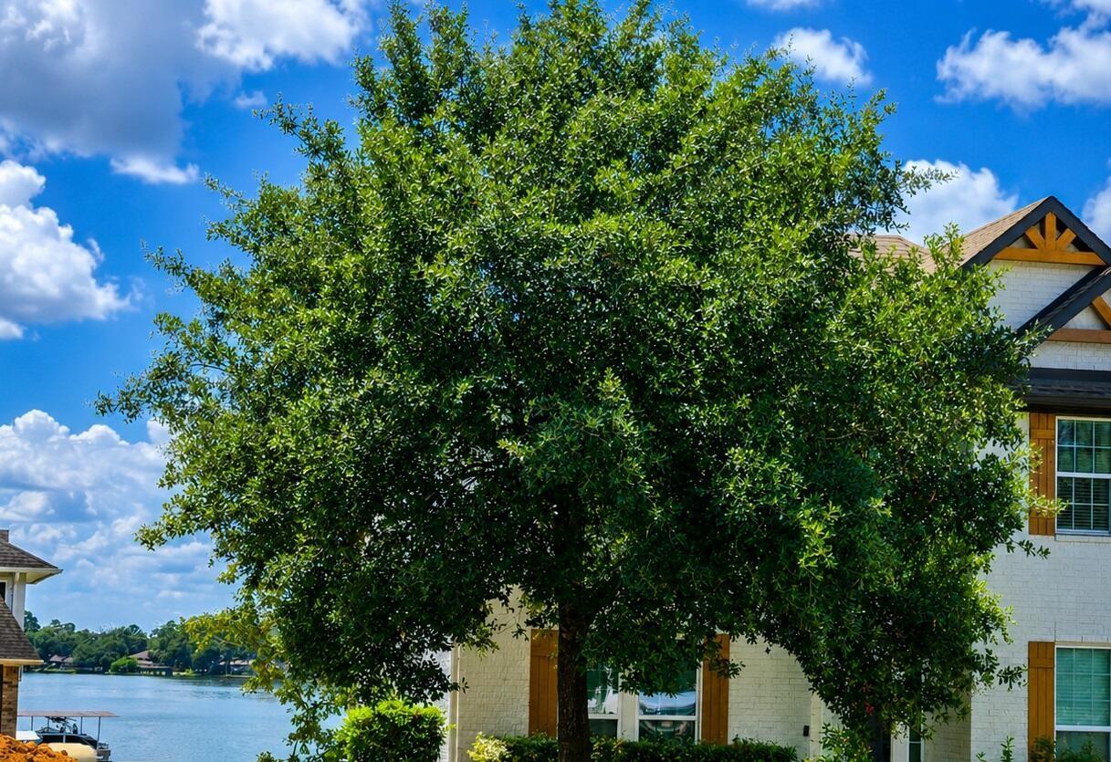 12367 Pebble View Drive