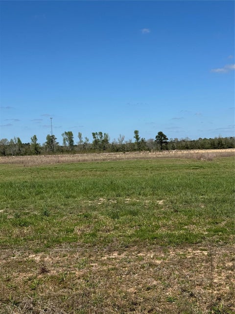 Vacant Land For Sale - 302 County Road 2278<br/> Cleveland, TX 77327