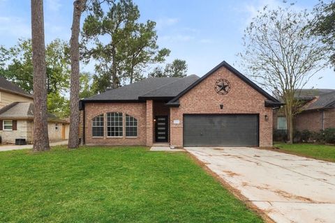 25007 Butterwick Drive Spring TX 77389