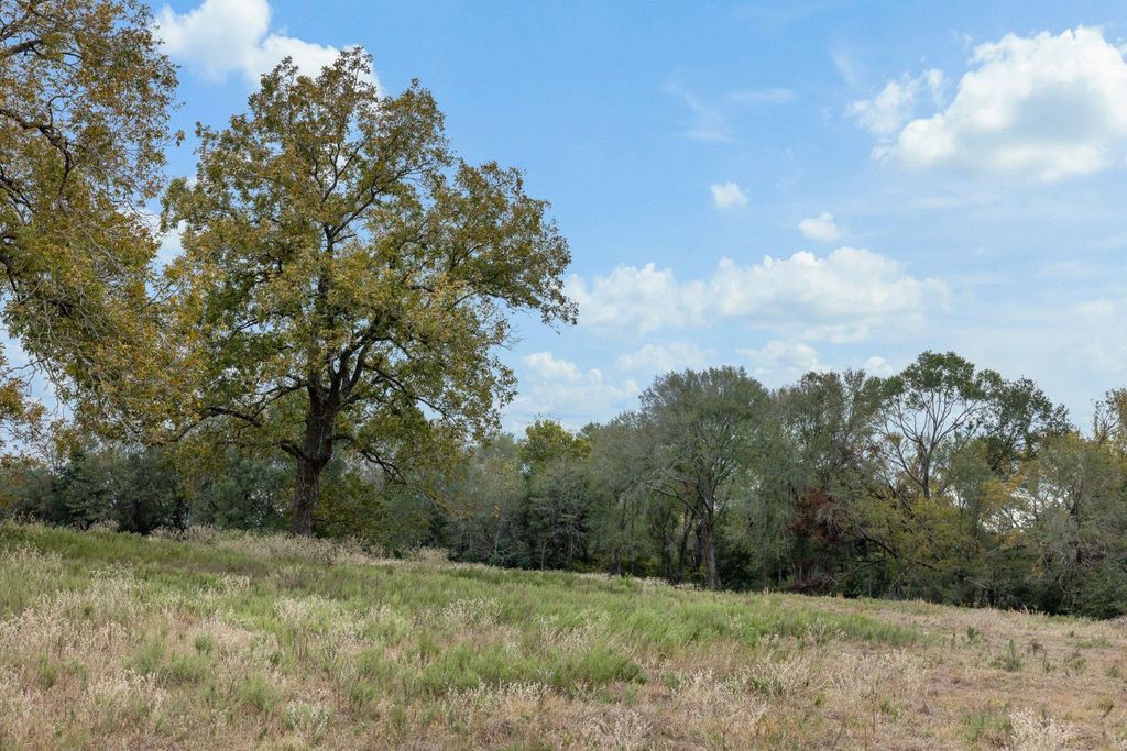 Photo of 0 Pleasant Hill Road, Bryan, TX 77807 (MLS # 85594282)