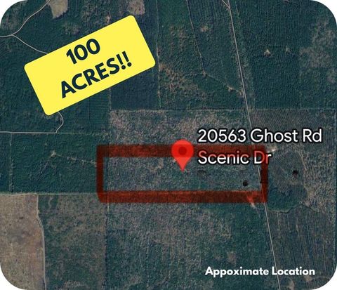 Vacant Land For Sale - 20563 Ghost Road<br/> Kountze, TX 77585
