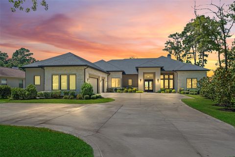 13924 Longwood Drive Willis TX 77318