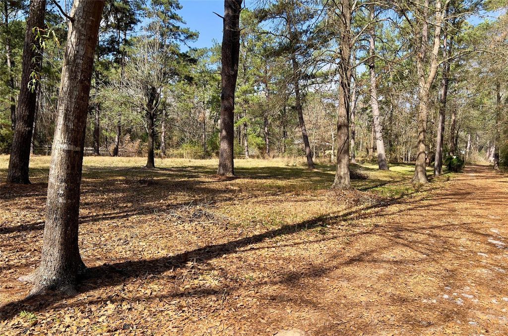 Photo of TBD Kent Dr, New Caney, TX 77357 (MLS # 30070403)