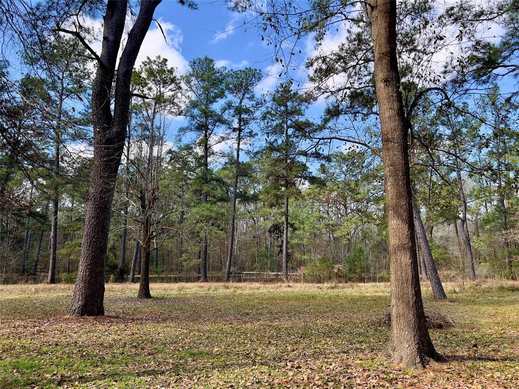 Photo of TBD Kent Dr, New Caney, TX 77357 (MLS # 30070403)