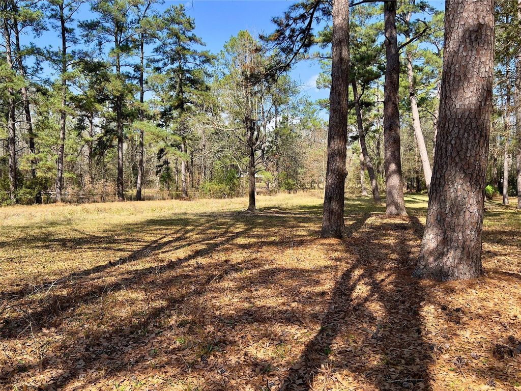 Photo of TBD Kent Dr, New Caney, TX 77357 (MLS # 30070403)