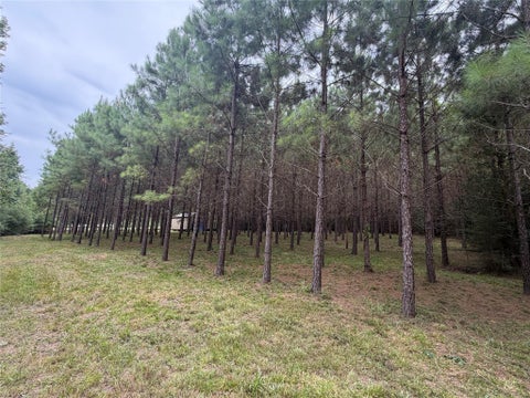 Photo of 0 Cody Road WAY, Livingston, TX 77351 (MLS # 58413046)