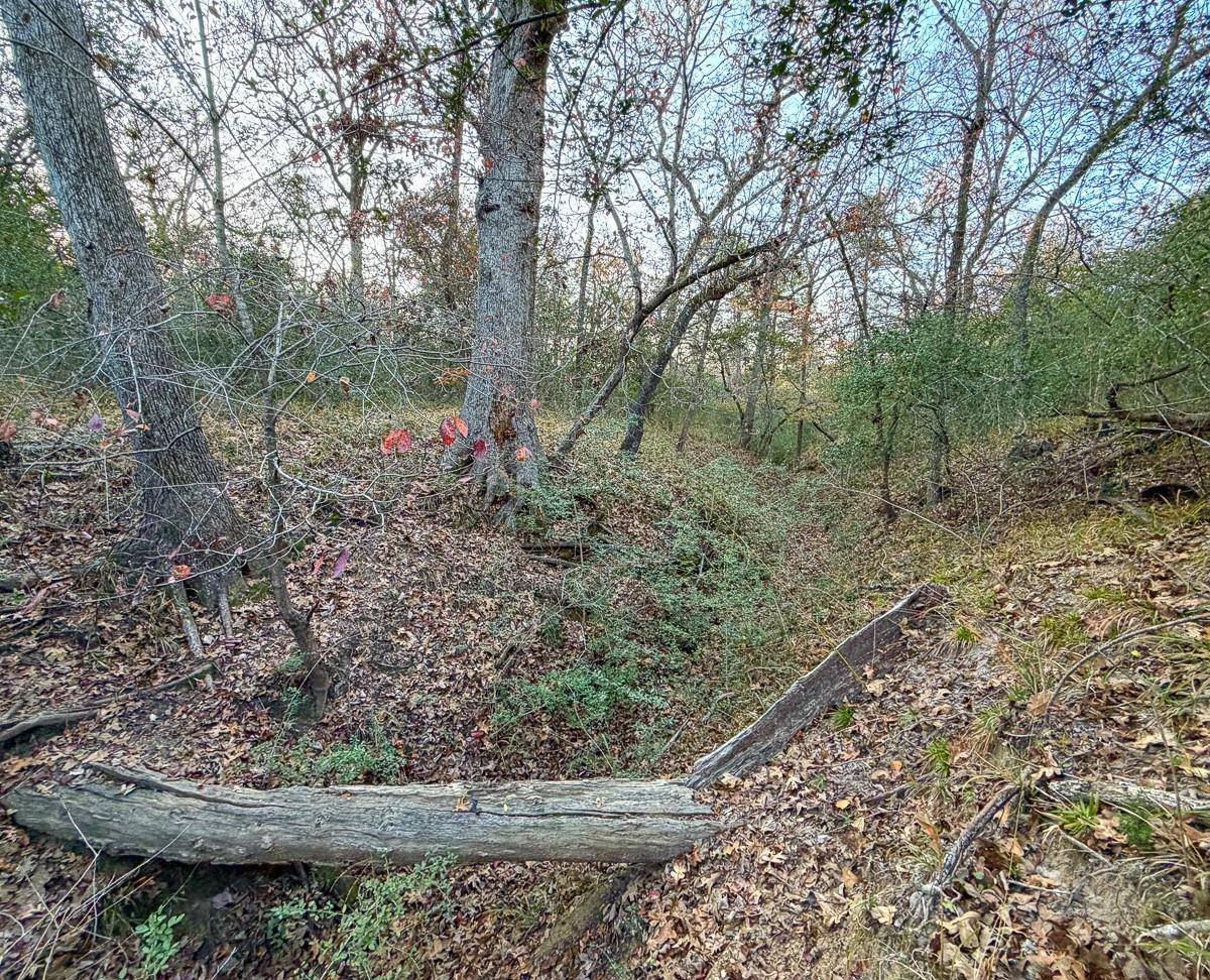 TBD Jack Rabbit Lane