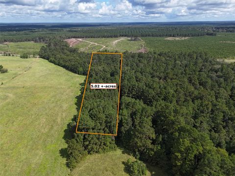 Photo of TBD Fm-943, Livingston, TX 77351 (MLS # 45014493)
