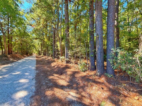 Photo of TBD County Road 1620, Grapeland, TX 75844 (MLS # 15355324)