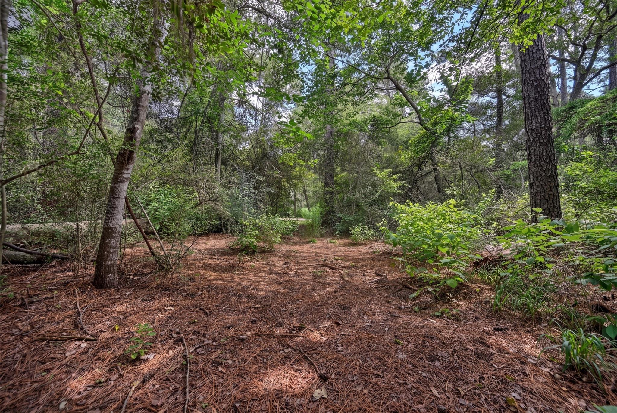 Lot Two, 3340 County Road 325