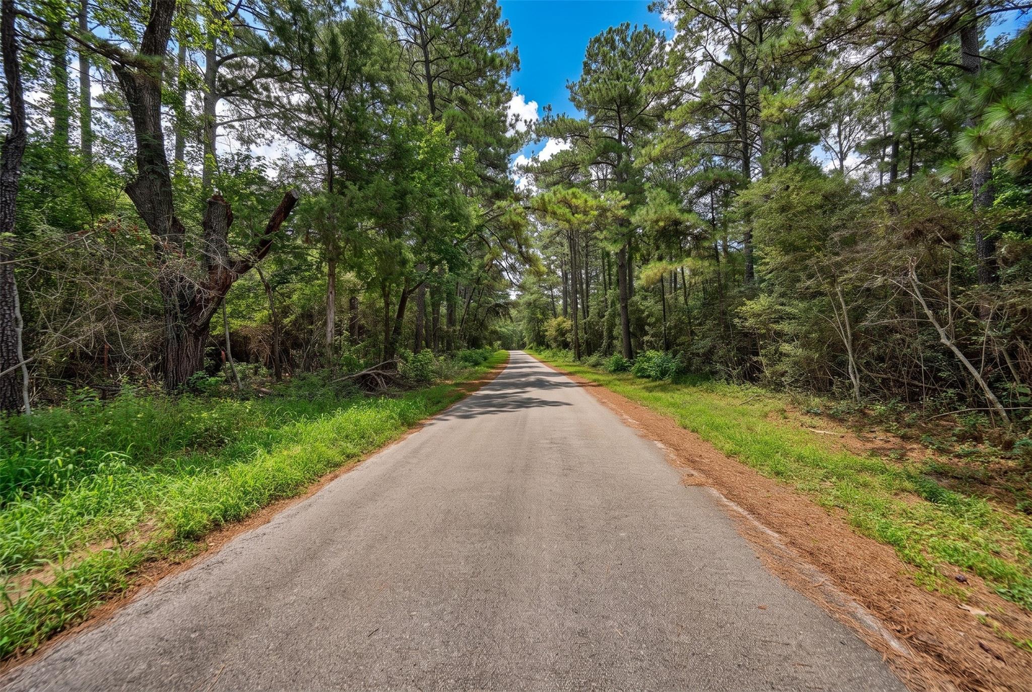 Lot Two, 3340 County Road 325
