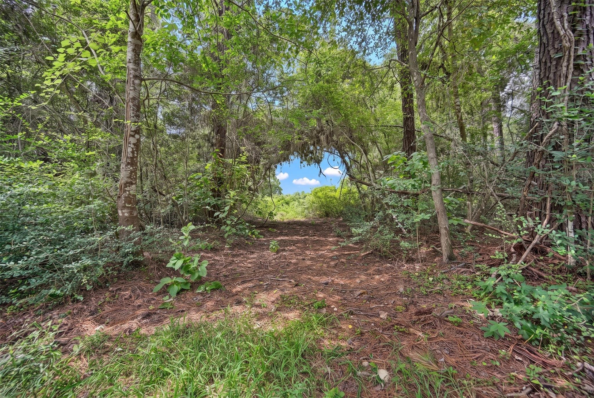 Lot Two, 3340 County Road 325