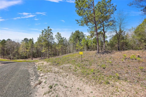 Vacant Land For Sale - 434 Piney Creek Estates Road<br/> Timpson, TX 75975