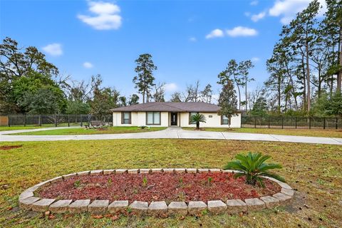 1011 Chateau Woods Parkway Drive Conroe TX 77385