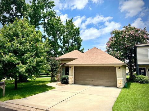 14876 Cetus Ct Court Willis TX 77318