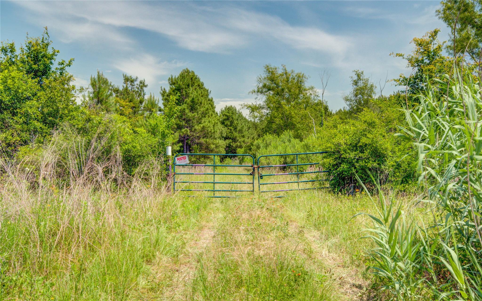 7443 County Road 302