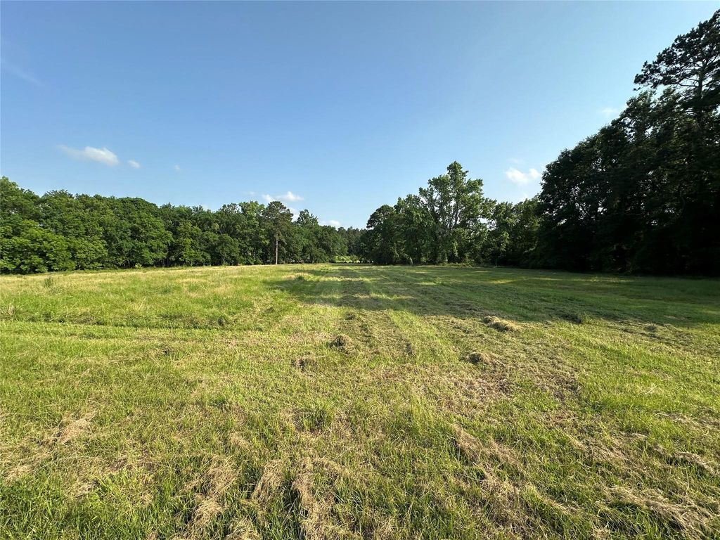 Photo of 220 E Dalton, Coldspring, TX 77331 (MLS # 48628614)