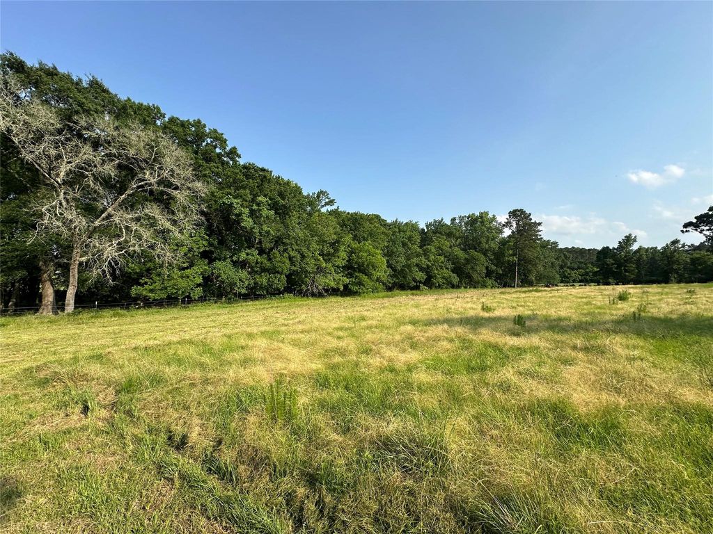 Photo of 220 E Dalton, Coldspring, TX 77331 (MLS # 48628614)