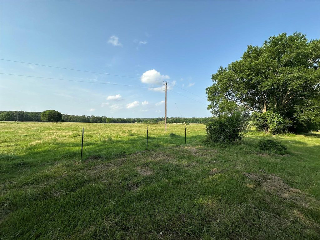 Photo of 220 E Dalton, Coldspring, TX 77331 (MLS # 48628614)