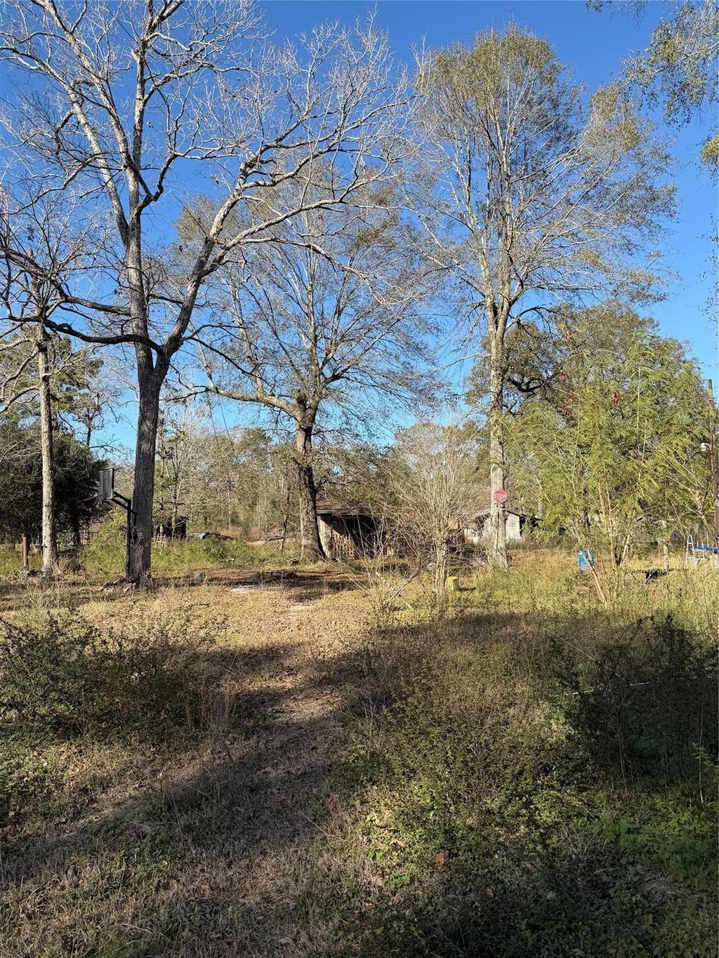 Photo of 19875 Crystalwood Estates Drive, New Caney, TX 77357 (MLS # 36224846)