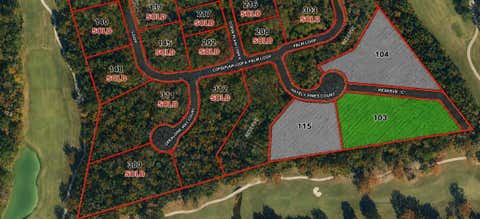 Photo of 103 Chateau Pines Court, Montgomery, TX 77316 (MLS # 88546005)