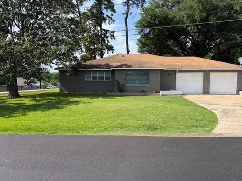 Photo of 203 Moose Jaw Lane, Houston, TX 77336 (MLS # 66025288)