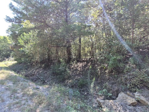 Vacant Land For Sale - TBD Cedar Hilltop Dr<br/> San Jacinto County, Coldspring, TX 77331
