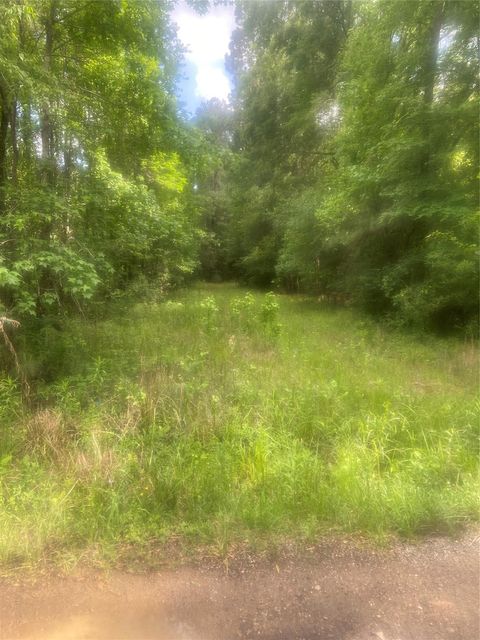 Photo of 251 Pickens Loop, Livingston, TX 77351 (MLS # 82549671)