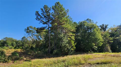 TBD-1 Us-190 W Livingston TX 77351