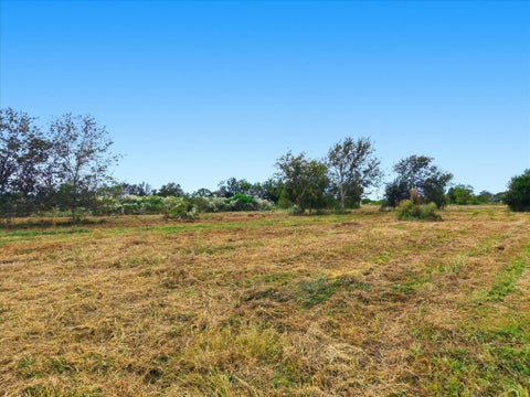 Vacant Land For Sale - LOT 9 Cow Creek Road Ct<br/> Fort Bend County, Damon, TX 77430