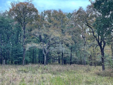 000 Fm-247 Midway TX 75852