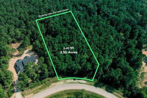 Photo of 99 Red Hawk Road, Huntsville, TX 77340 (MLS # 97983547)