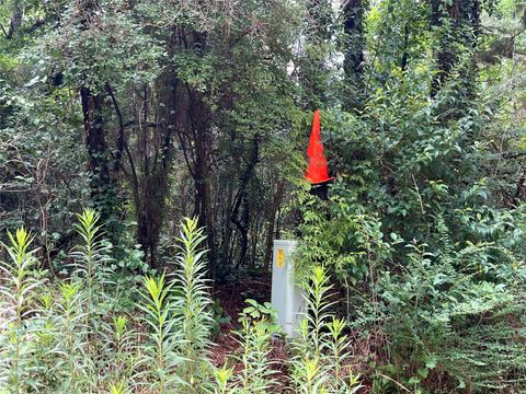 Photo of 441 Pichetto Trail, Livingston, TX 77351 (MLS # 5486181)