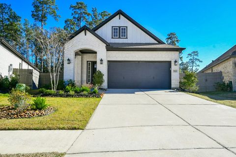 Photo of 17463 Vino Vines Lane, Conroe, TX 77302 (MLS # 27672628)