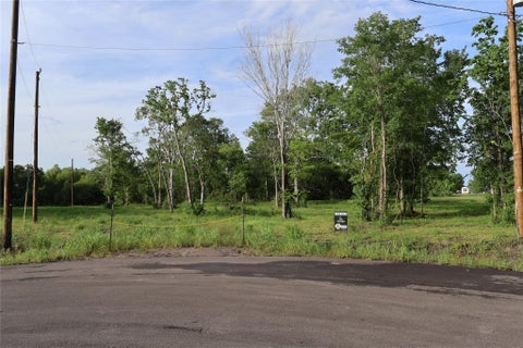 Vacant Land For Sale - 479 Road 48619<br/> Dayton, TX 77535