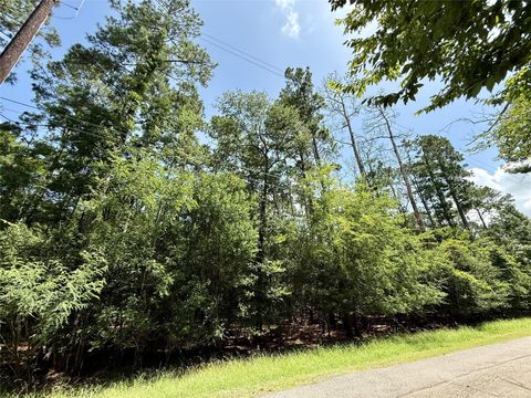 Vacant Land For Sale - 155 W Lake Drive<br/> Houston, TX 77336