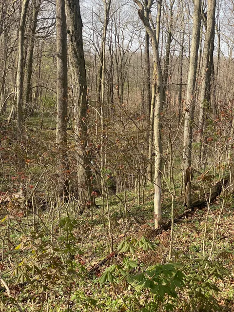E 100 Road S, Crawfordsville, IN 47933 - MLS#: 21972768