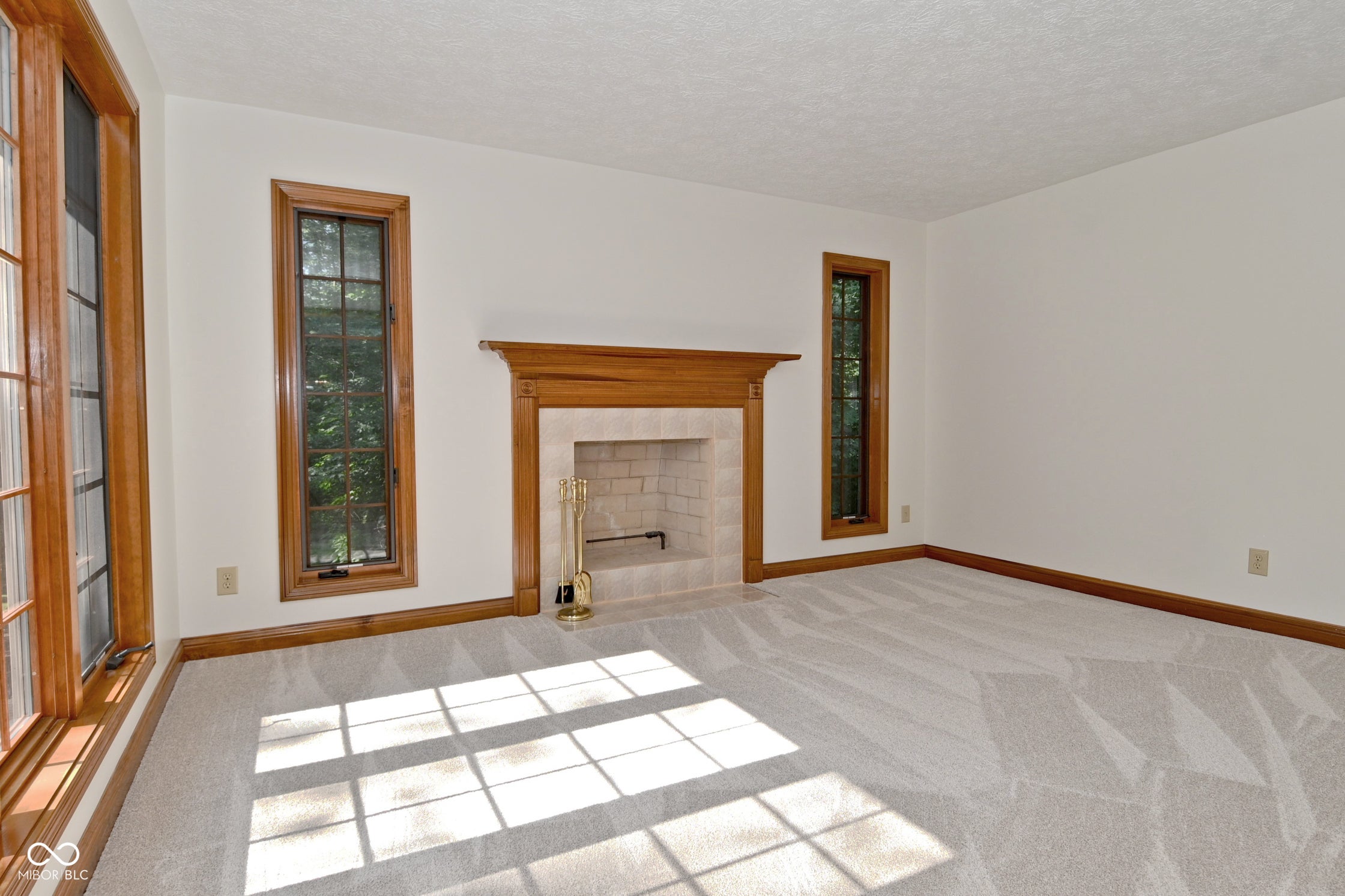 1250 Bur Oak Court