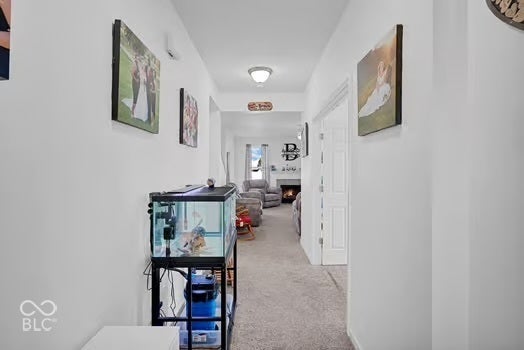 2262 Creekland Creek