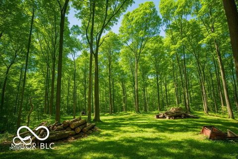 9660 Old Haggard Road Morgantown IN 46160