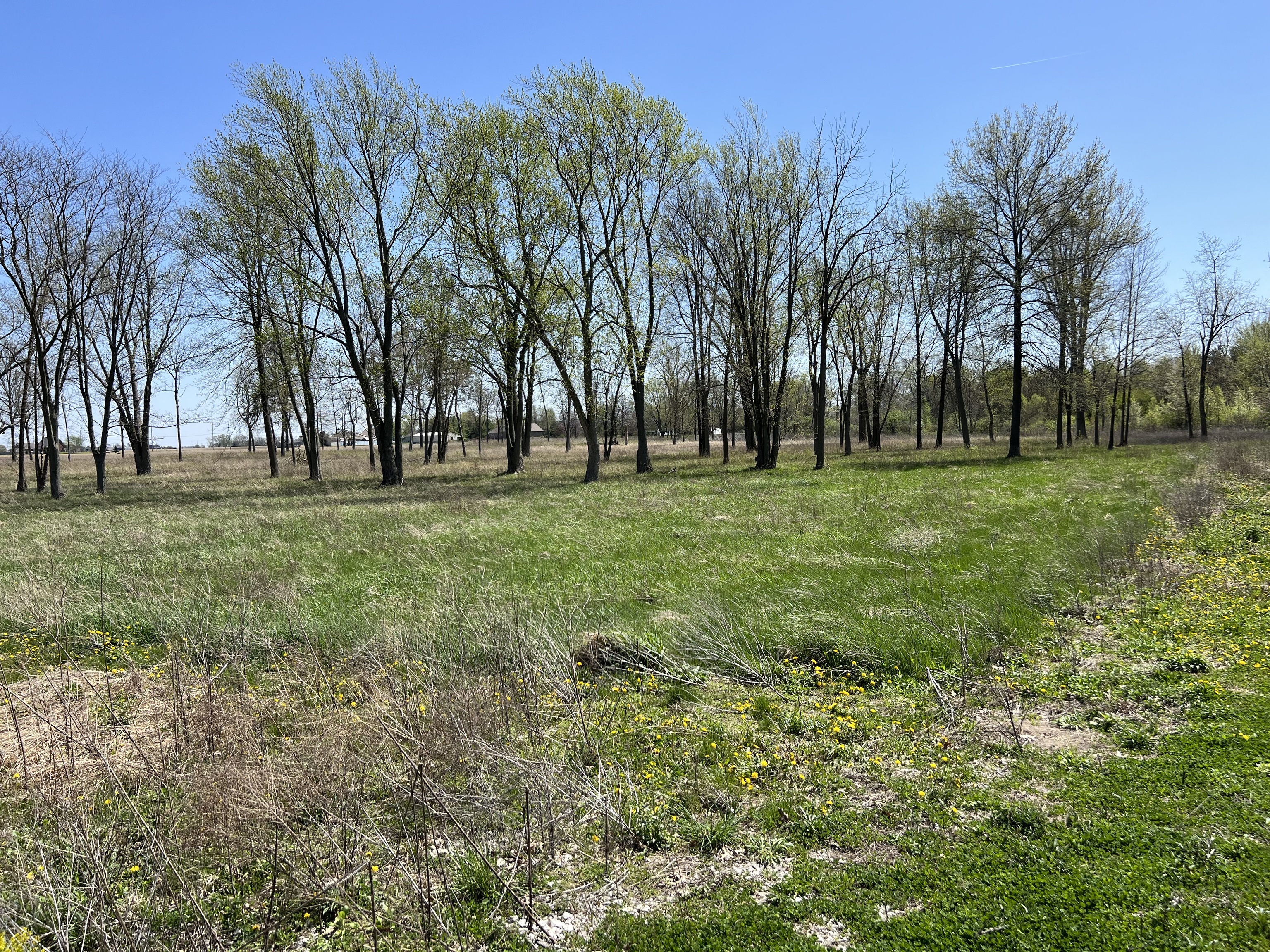 3205 N State Road 39