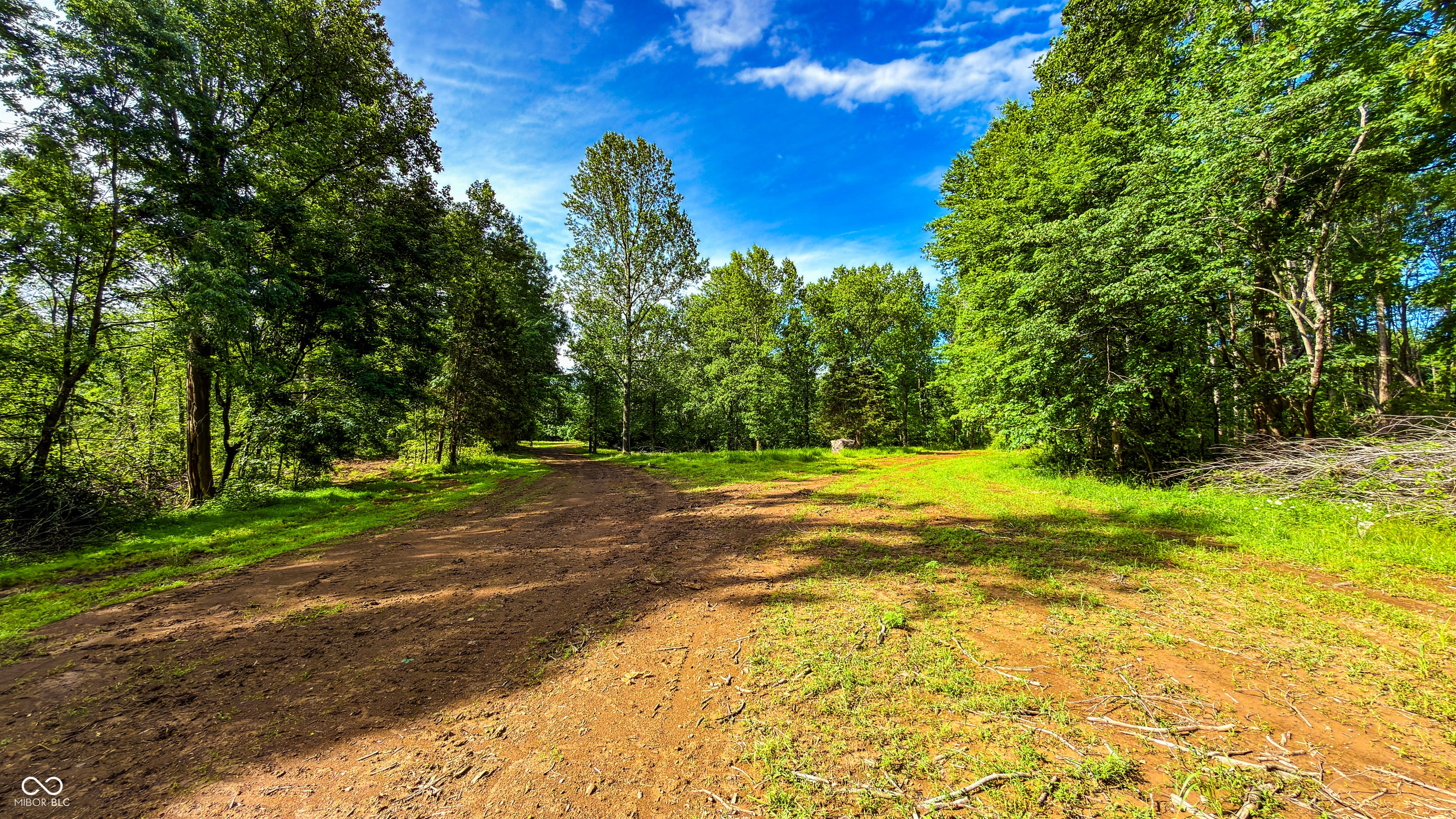 3 Beech Tree Road