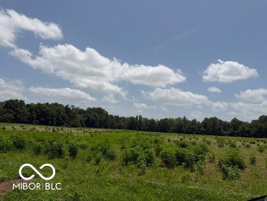 3037 E COUNTY RD 875 S, MOORESVILLE, IN 46158 - Image 12c21935d5b1402bc5fd100b24a2bc9f/2097572432