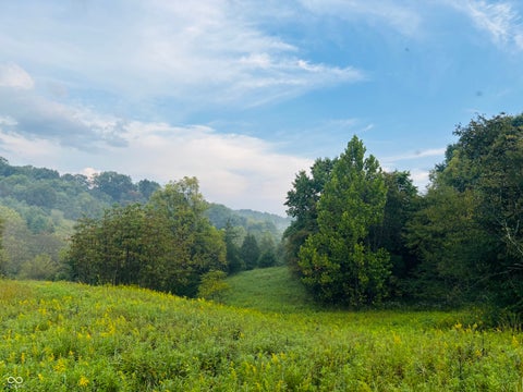 Photo for 1 Snail Creek Road