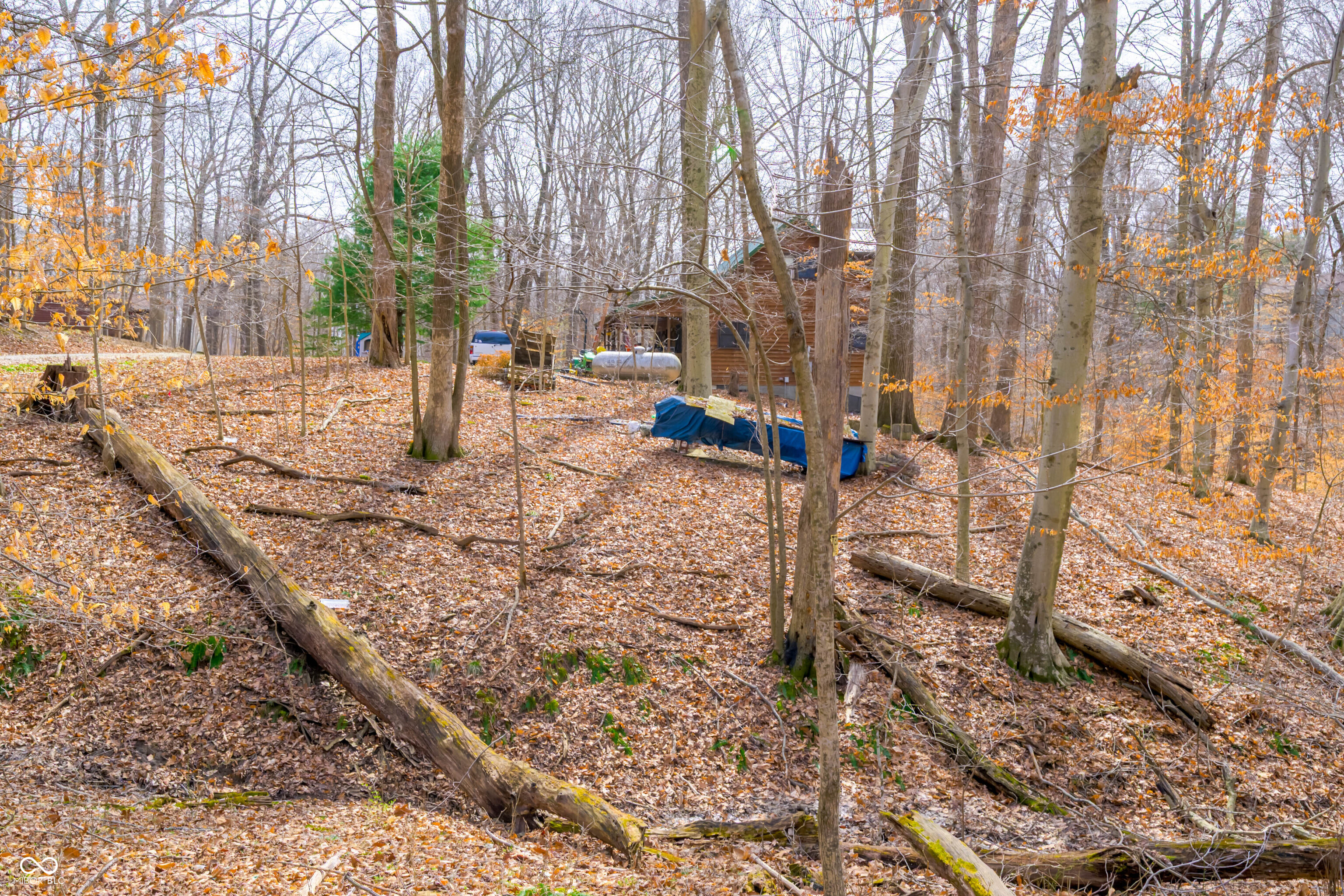 8374 Bluegill Drive