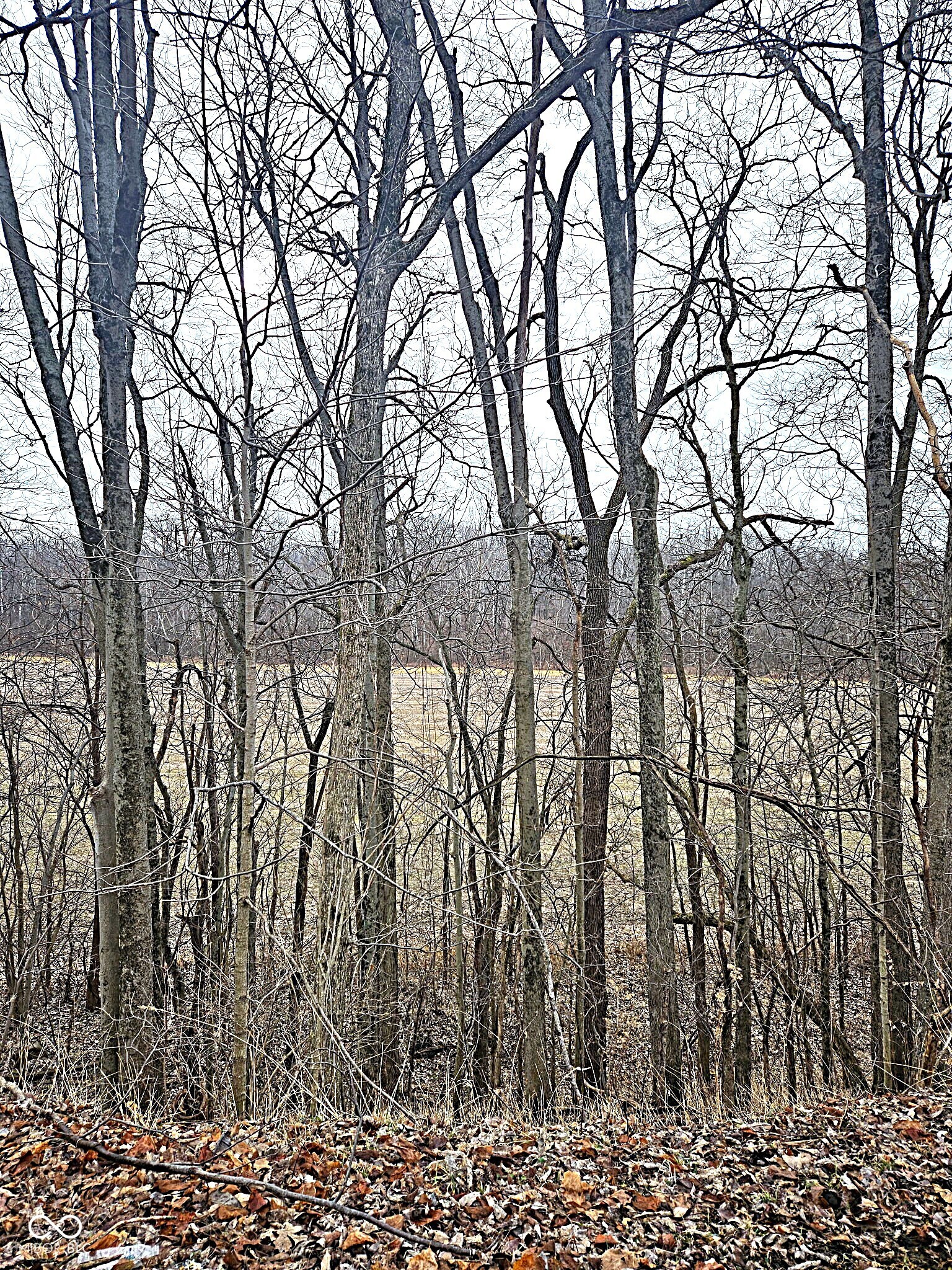 5921 N County Road 500 E