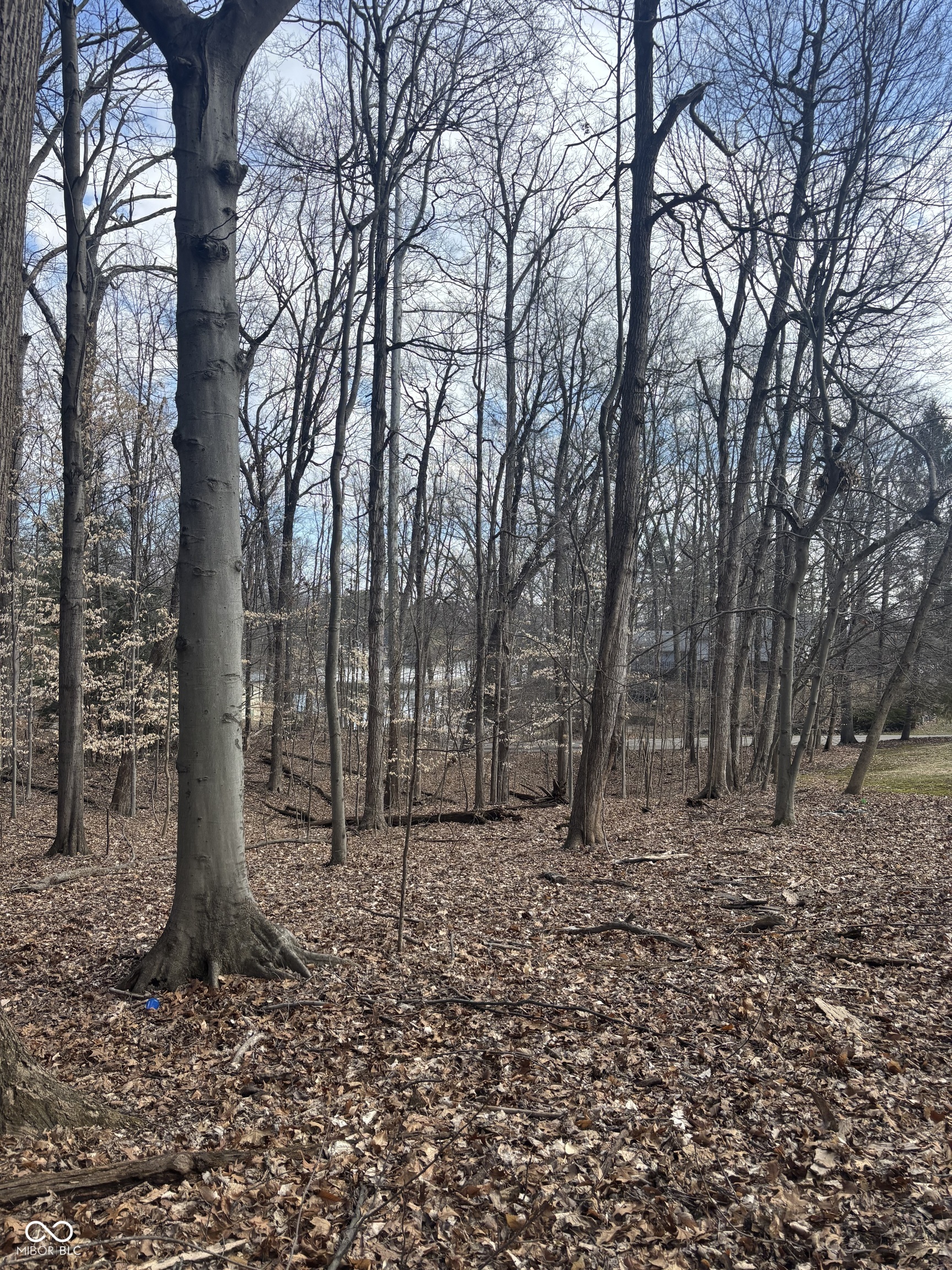 0 Foxcliff North Drive W