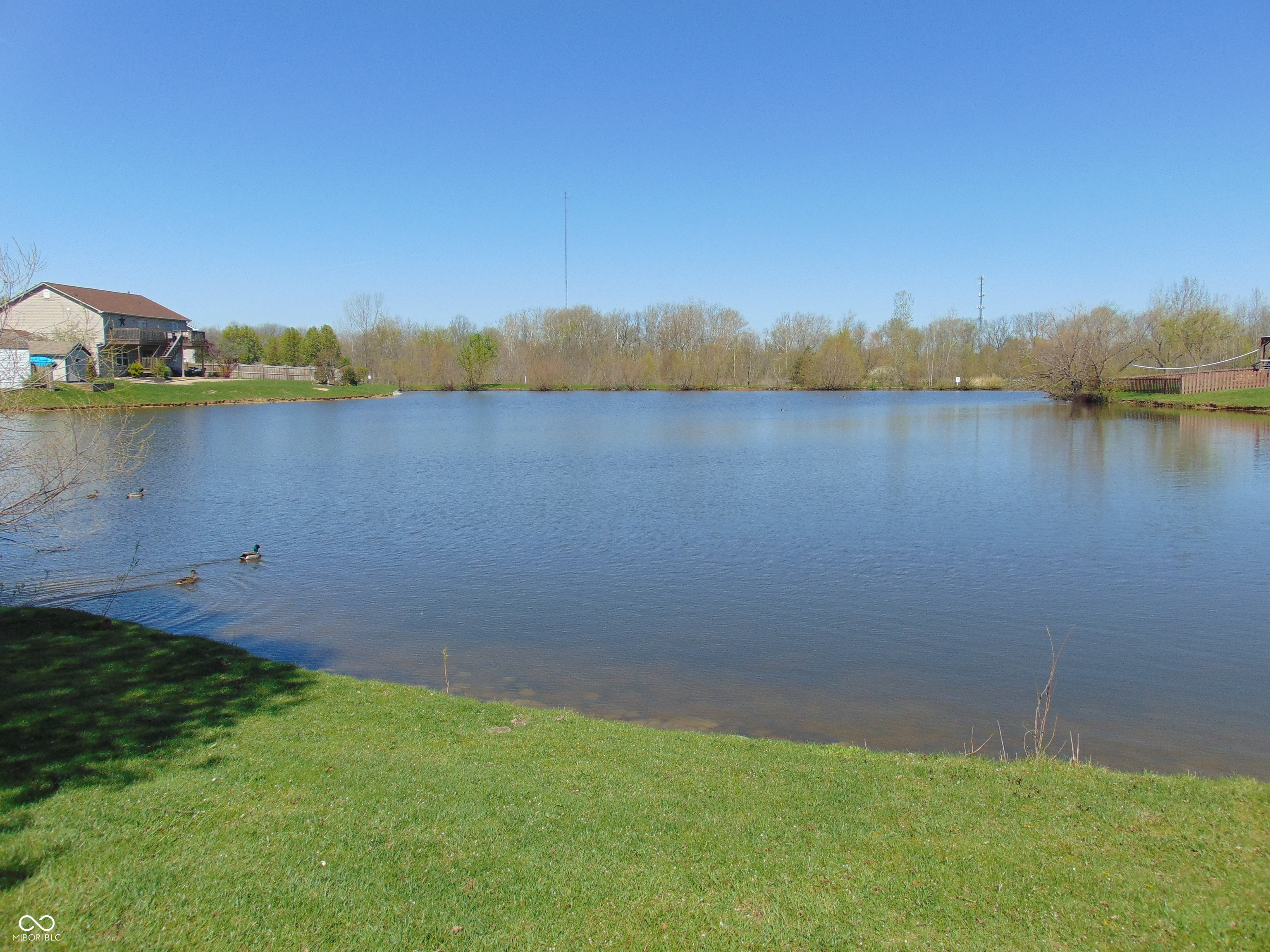 982 Youngs Creek Drive