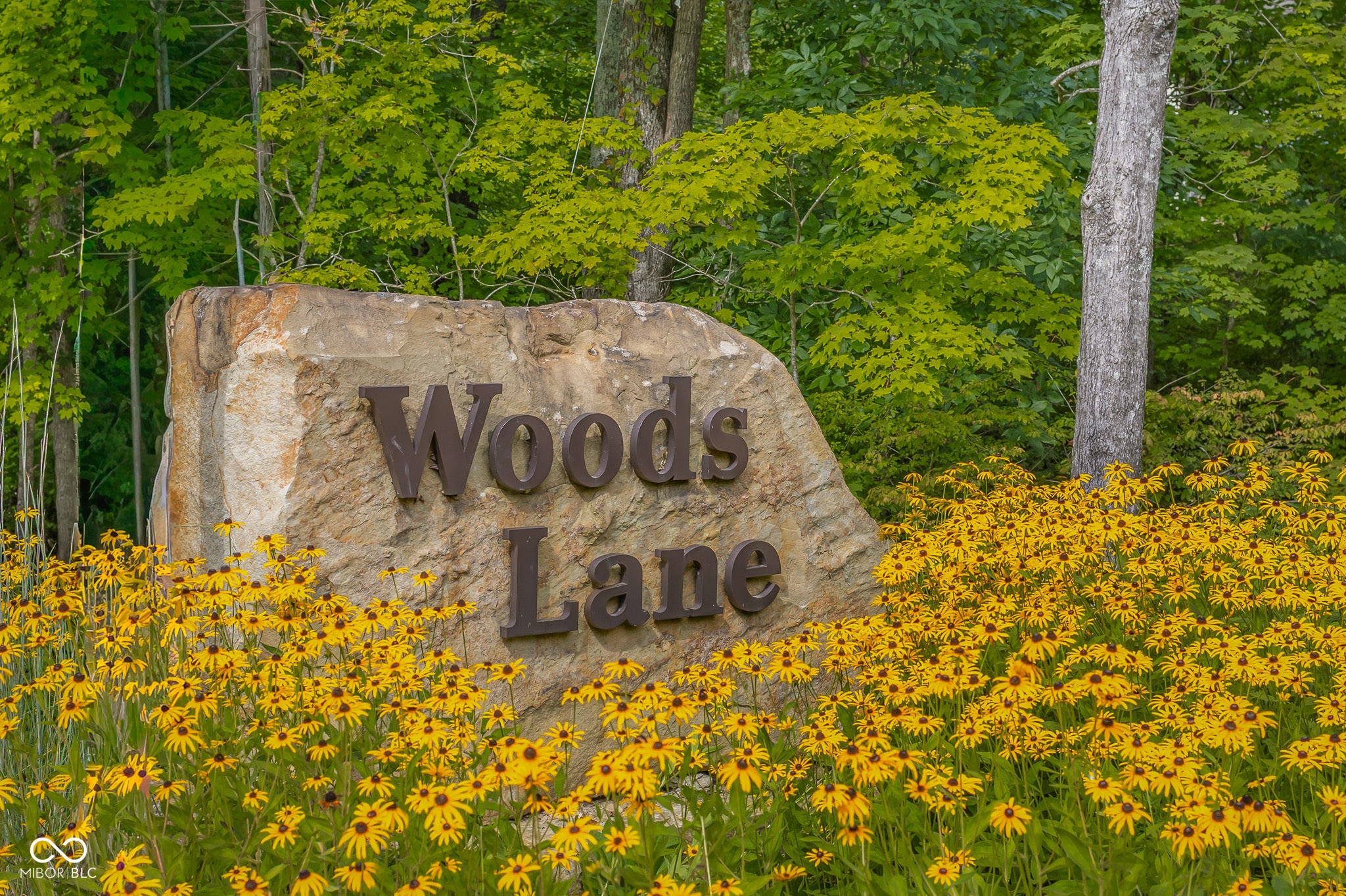 Lot 1 Woods Lane
